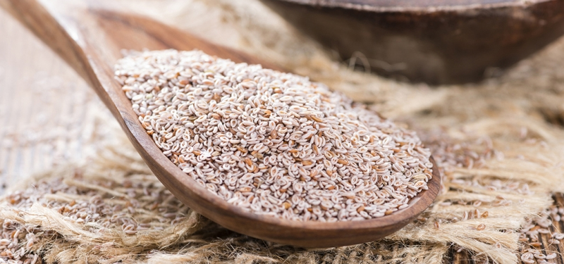 Psyllium Emagrece? Saiba Mais Sobre Esse Alimento! - Portal Educação