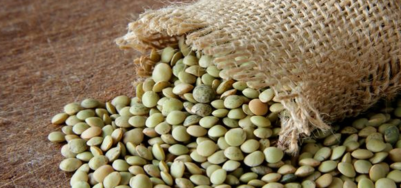 Lentilha: Benefícios Propriedades Receitas e Como Fazer.
