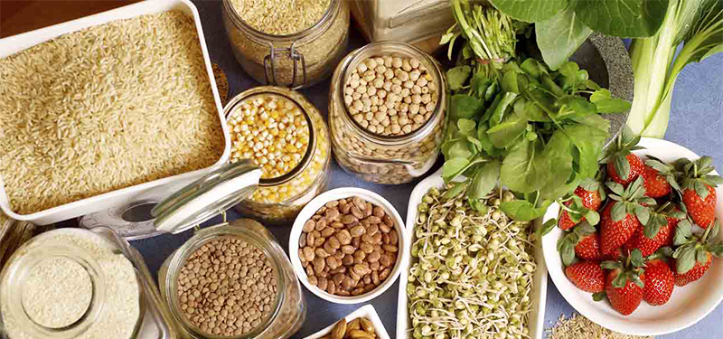 Fibras Alimentares: Benefícios, Funções e Principais Fontes