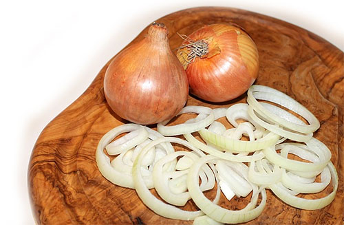 Cebola