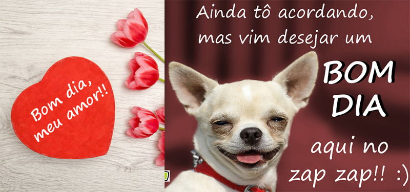Imagens de Bom Dia: Para Whatsapp, Facebook, Namorado, Amigos!