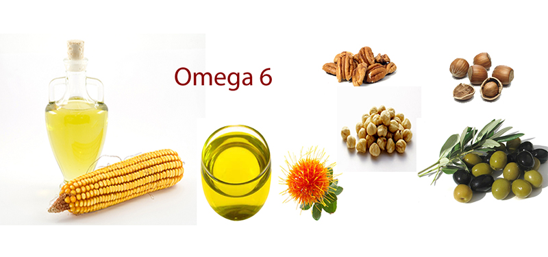 Ômega 6: Benefícios, Malefícios e Alimentos Que Contêm