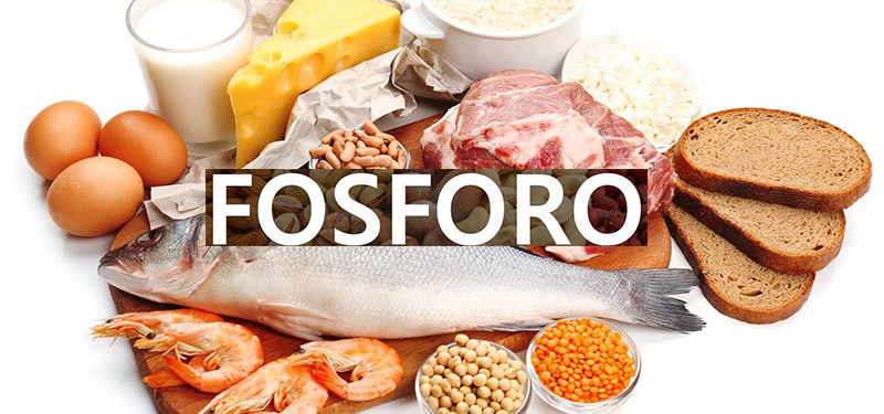 Fosforo Mineral: Função, Deficiência e Excesso.