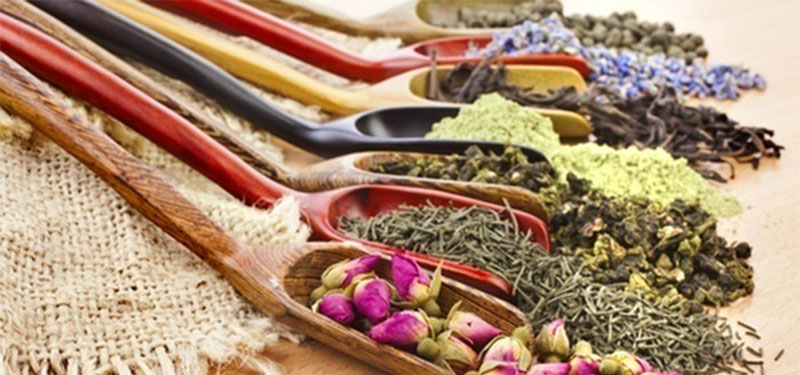 Plantas Medicinais Para Que Serve e Suas Indicações.