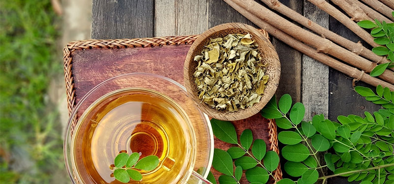 Moringa: como essa planta pode oferecer benefícios para a saúde.