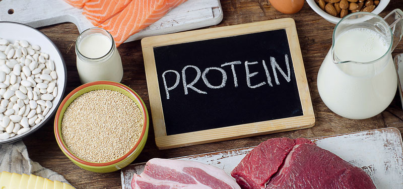Alimentos ricos em proteínas: porções e gramas!