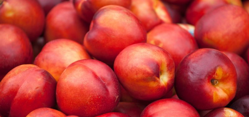 O que é nectarina, benefícios, calorias e como plantar
