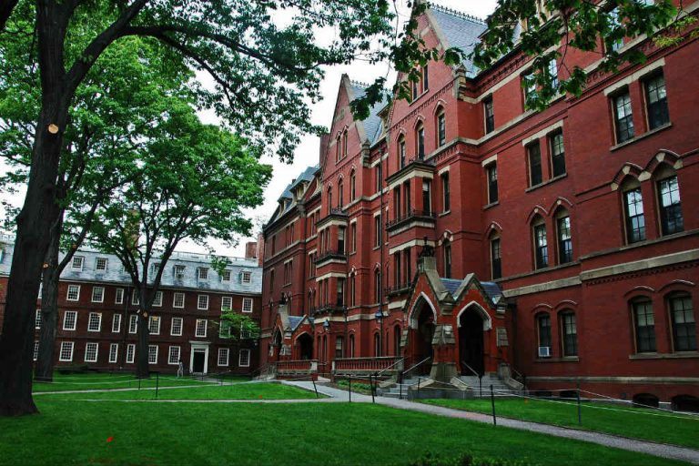 Conheça os cursos gratuitos que Harvard oferece